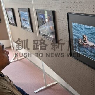 野生のラッコの生き生き　厚岸の福田さん、霧多布ゆうゆで写真展【浜中】(2024-08-13)