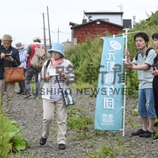 散策しながら俳句詠む　元町フットパス句会【釧路市】(2024-08-23)