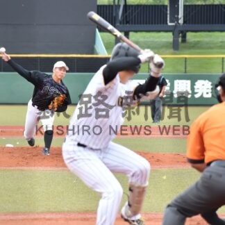 タンチョウリーグ開幕　硬式野球交流戦４試合【釧路市】(2024-08-12)