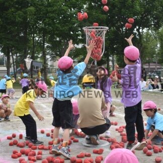 園児が元気に運動会　はるとり保育園、父母らの声援響く【釧路市】(2024-08-10)