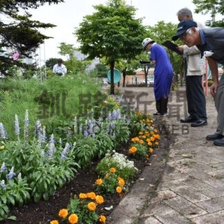 色とりどりの花壇審査　コンクール、１５日に各賞発表【釧路市】(2024-08-08)