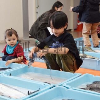 子供ら魚に興味津々　水産研究・教育機構施設を一般公開【釧路市】(2024-10-01)