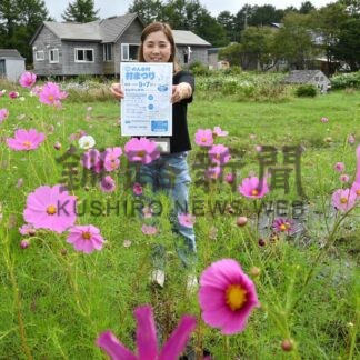 コスモス迷路や野菜販売　きょうのんき村まつり【厚岸】(2024-09-07)