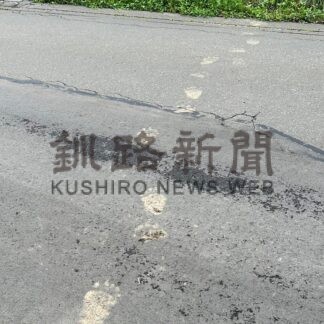 ヒグマ目撃情報【根室】(2024-09-04)