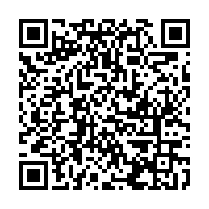 世界最小トウキョウトガリネズミを展示　１５日は講習会と講演会「【白糠】(2024-09-13)