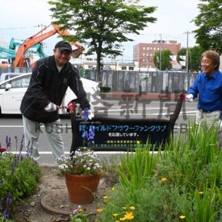 北大通の花壇、きれいに整備　釧路の３団体【釧路市】(2024-09-25)