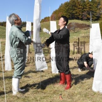 野付湾の環境保全願い当幌川周辺で植樹【中標津】(2024-10-30)