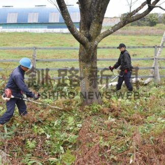 桜の名所で下草刈り作業　上田組が地域貢献【別海】(2024-10-08)