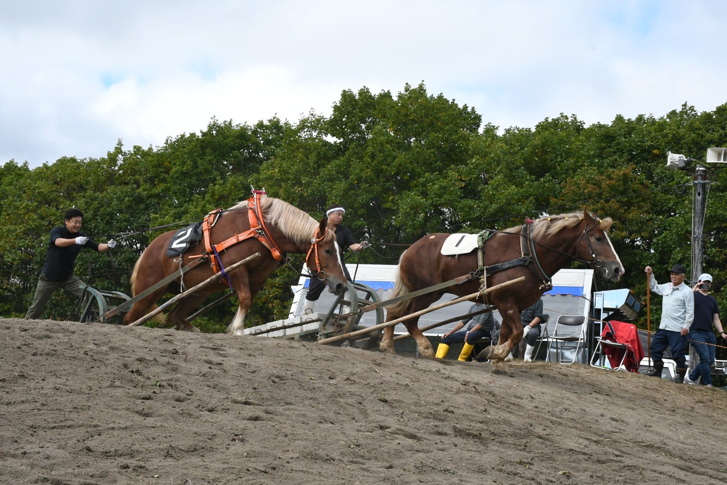 人馬一体、迫力レース 摩周湖ばん馬大会【弟子屈】 – 釧路新聞電子版