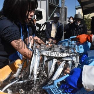 旬のサンマに舌鼓　祭りに２万１０００人来場【根室】(2024-10-08)