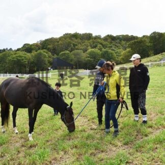 カフェから馬眺めて　観光牧場ハートランチに管理棟完成【標茶】_1(2024-10-06)