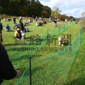 ペットと心地よい汗流す　ドッグパークで運動会【釧路市】(2024-10-23)