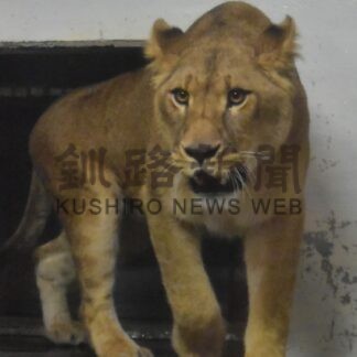 市動物園に「フウ」ら仲間入り【釧路市】(2024-11-15)