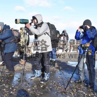 「野鳥の聖地」野付に全国から愛好家　バードランドフェス開幕【別海】(2024-12-15)