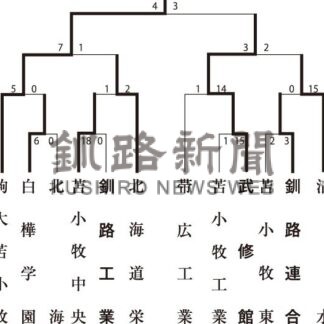 全道高校アイスホッケー　武修館 王座奪還ならず【帯広】_2(2024-12-18)