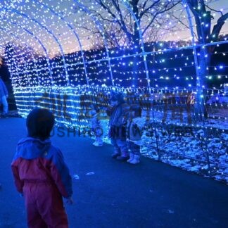 Ｘマスイルミ冬の夜空彩る　別保公園【釧路町】(2024-12-08)
