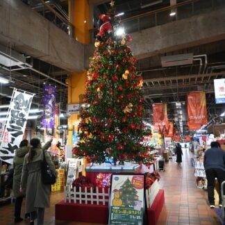 Ｘマスツリーお目見え　ＭＯＯ、リボン当てクイズ開始【釧路市】(2024-12-06)