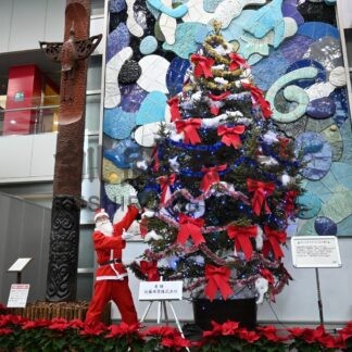 釧路空港２階にＸマスツリー設置　白と青の電飾輝く【釧路市】(2024-12-07)