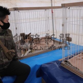 ペットと一緒に避難　道防災総合訓練【根室】(2024-12-22)