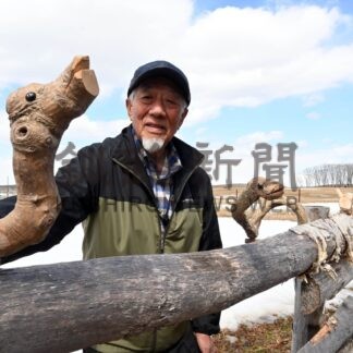 軽食喫茶「夢風舎」営業再開　常設展示、オブジェも設置【厚岸】(2025-04-02)