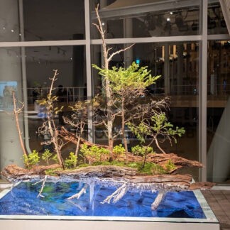 生け花 万博に彩り　池坊・土屋准教授、根室イメージ作品展示【根室】(2025-04-30)