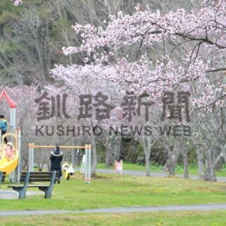 釧根 桜めぐり　◇５【釧路町】(2025-04-27)