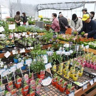 花や野菜の苗１００種類並ぶ　パープル園芸ガーデンセンターで園芸市【釧路町】(2025-05-16)