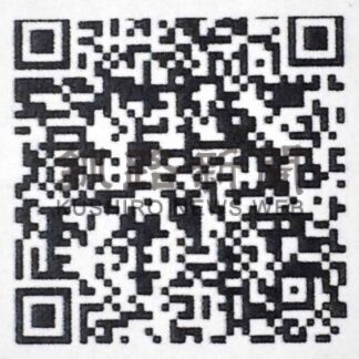 ２４日にワークショップ　ゲシュタルト療法・札幌の田中代表招き【釧路市】_1(2025-05-21)