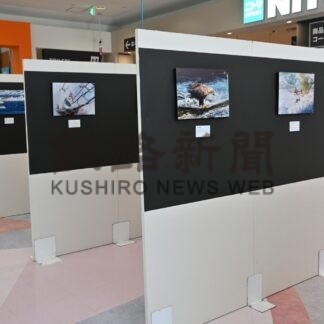 動物たちの作品並ぶ　釧北陽高教諭、柳楽さんが写真展【釧路市】(2025-05-06)