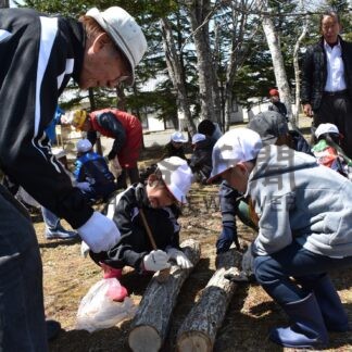 遠矢小児童、シイタケ栽培体験【釧路町】(2025-05-07)