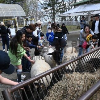 「こどもの日」各地でにぎわい(2025-05-06)
