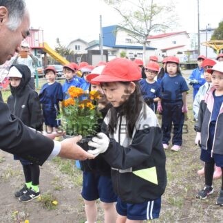 児童ら種まきや花苗植栽　白樺台地区、花いっぱい運動【釧路市】(2025-05-24)