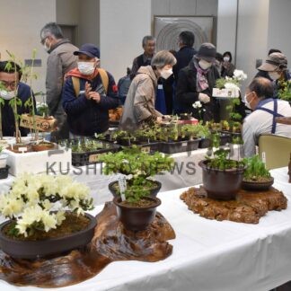 地元の草花見て　釧路山草会が春の大展示会【釧路市】(2025-06-01)