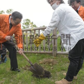 千島連盟羅臼支部　チシマザクラ植樹【羅臼】(2025-06-01)