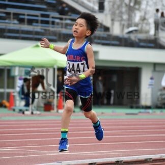 ４６７人が全力疾走　釧新杯陸上大会【釧路市】_3(2025-05-21)