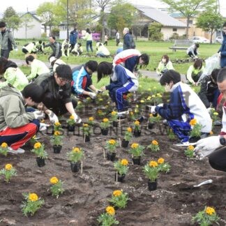 柳公園を緑いっぱいに　市民らが花壇整備【釧路市】(2025-05-27)