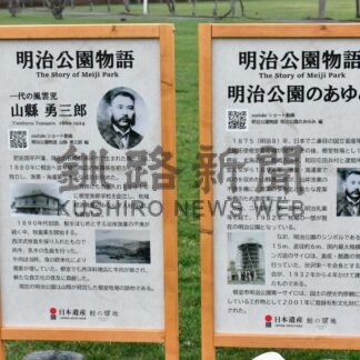 千島桜と赤レンガサイロ 幻想的に【根室】_5(2025-05-09)