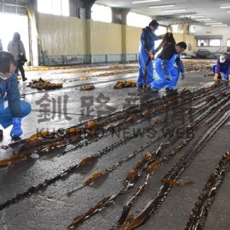 ナガコンブ生育良好　歯舞漁協が資源調査【根室】(2025-05-15)