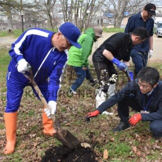 チシマザクラ５本植樹　千島連盟標津支部、北方領土早期返還願い【標津】(2025-05-20)
