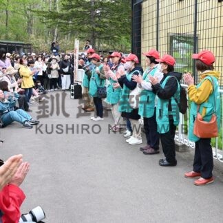 「ココア」１７歳お祝い　市動物園のアムールトラ【釧路市】_1(2025-05-25)
