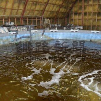 釧路市議会　市立高看指定校制導入　社会人・大卒試験も　２６年度から【釧路市】(2025-06-19)