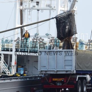 マイワシ初水揚げ１１８０㌧　道東沖の巻き網漁【釧路市】(2025-06-18)