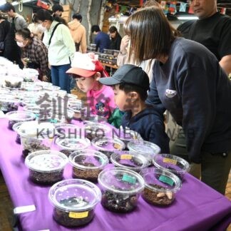 爬虫類や昆虫ずらり　ＭＯＯでエキゾチックフェス【釧路市】(2025-06-15)