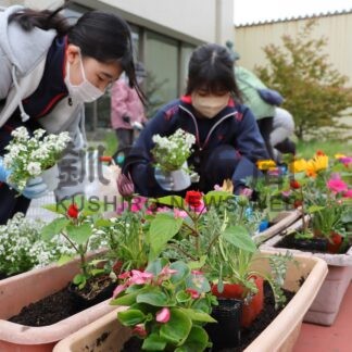 図書館前を花で彩る　カレンダーリサイクル市実行委、根室高生らと植栽【根室】(2025-06-03)