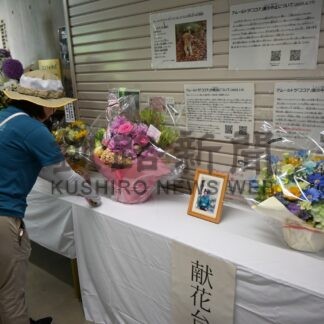 アムールトラ「ココア」天へ還る【釧路市】_1(2025-06-20)