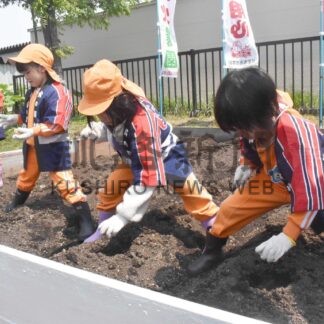 種芋植え「大きく育って」　幼年消防ク、防火農園の開園式【根室】(2025-06-08)
