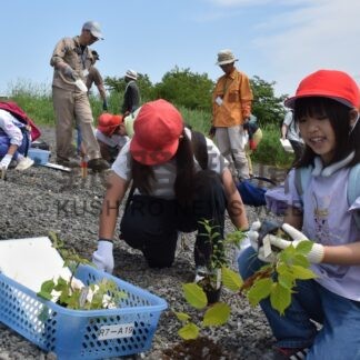 遠矢小児童ら新釧路川左岸に３２０本植樹【釧路町】(2025-06-25)