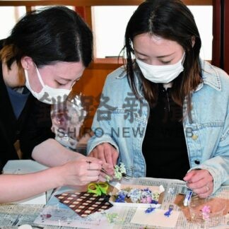 レカンフラワー思い思いに制作　てるてるぼうず体験会【根室市】(2025-07-01)