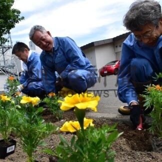 街路升花壇「きれいに」　北電ネット釧路支店が整備【釧路市】(2025-07-01)