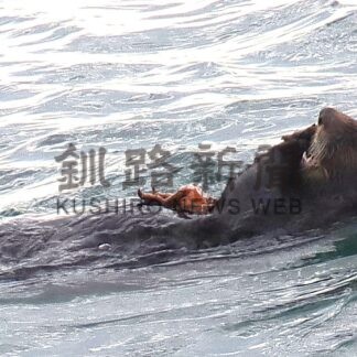 貝殻島コンブ漁始まる　１８３隻出漁、初水揚げ【根室】_1(2025-06-04)